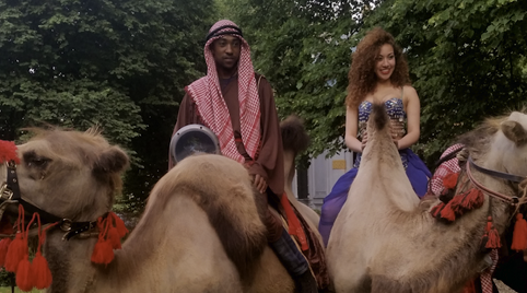 Zeer tamme kamelen en buikdanseressen