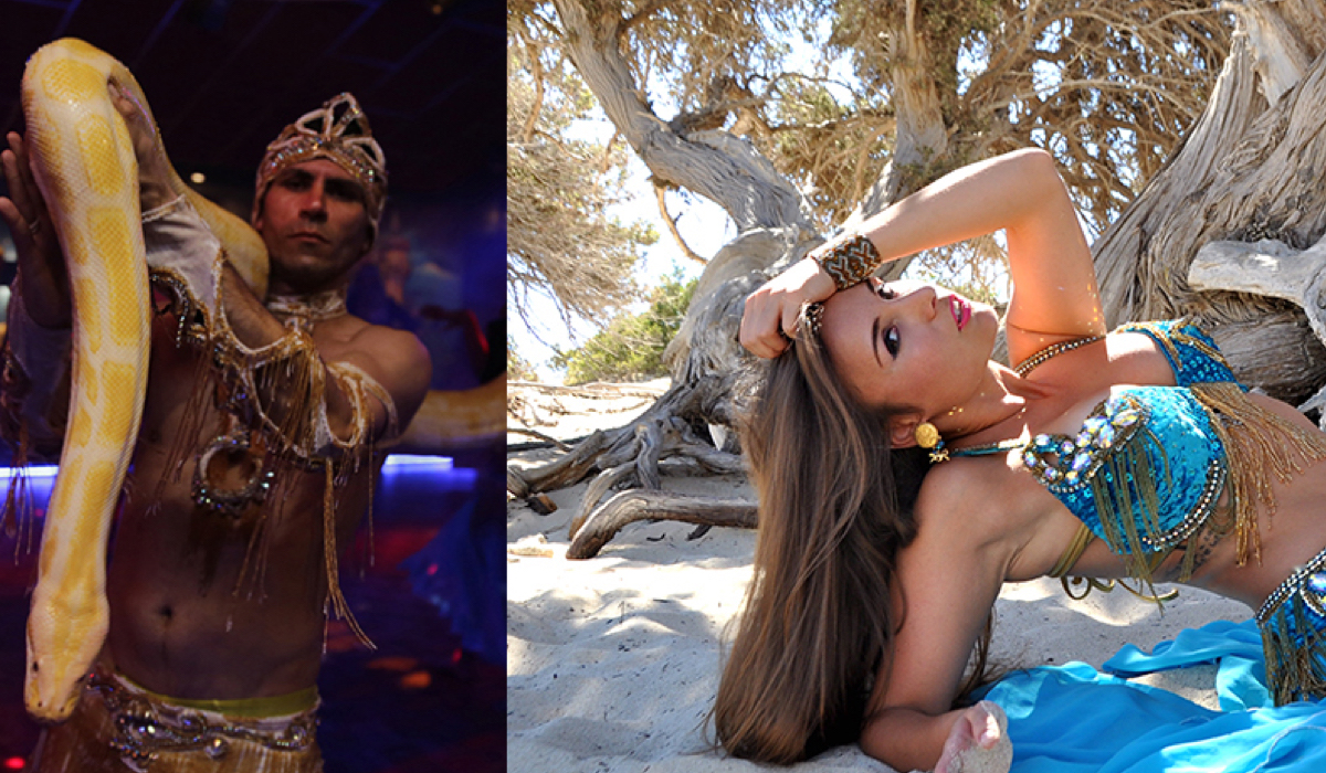 Buikdanseressen en shows